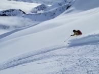 Bearpaw Heli Conditions