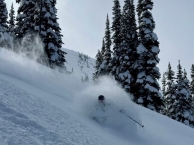 Bearpaw Heli Conditions