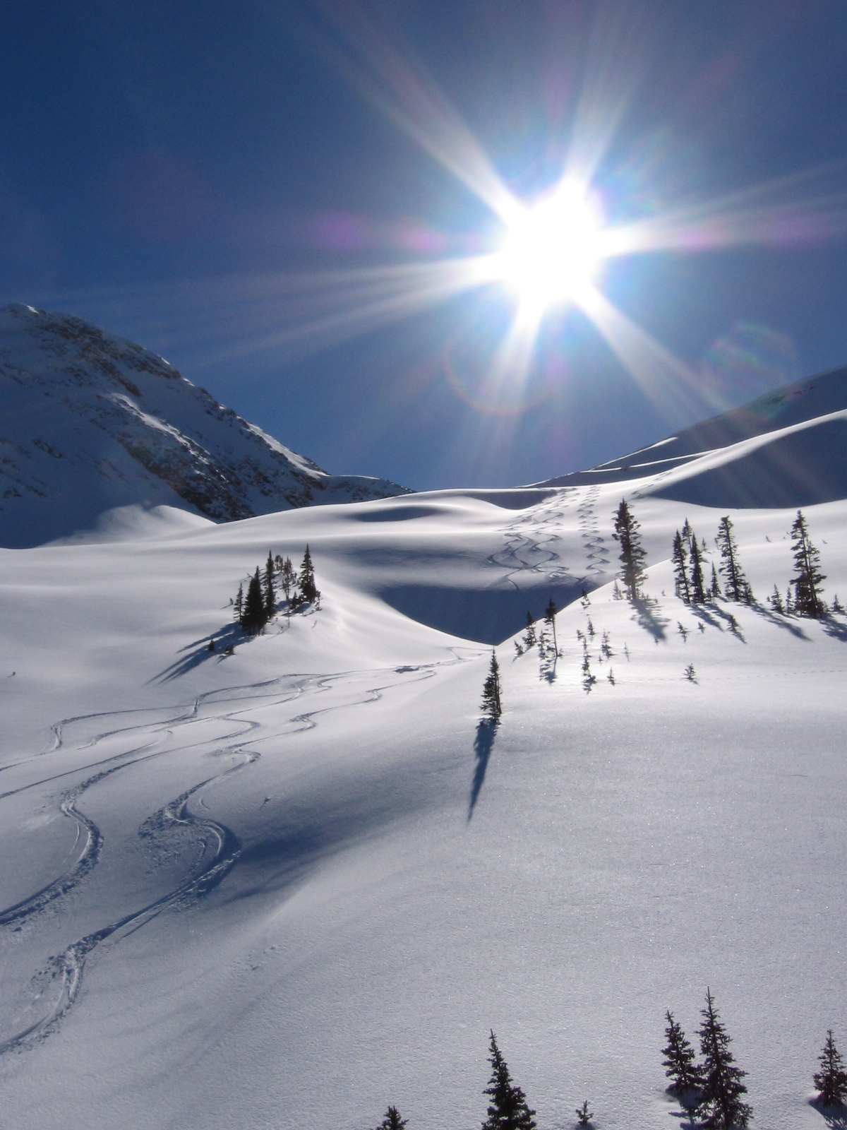 bearpaw heli-skiing powder skiing