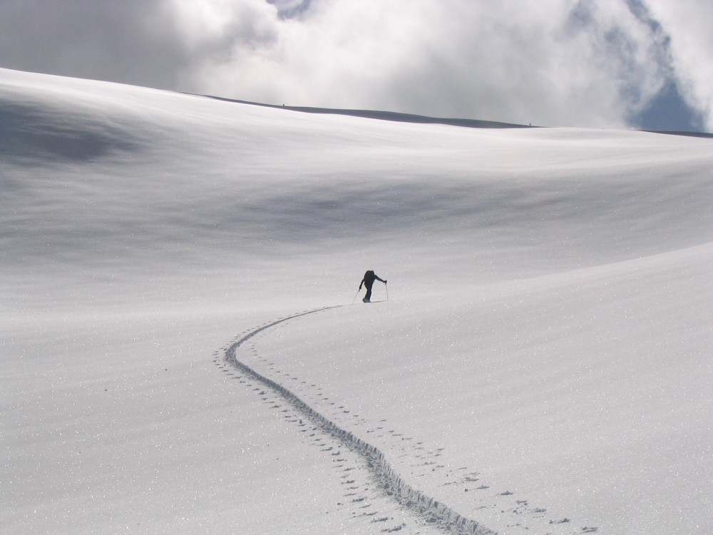 bearpawheliskiing_touringnewskiruns